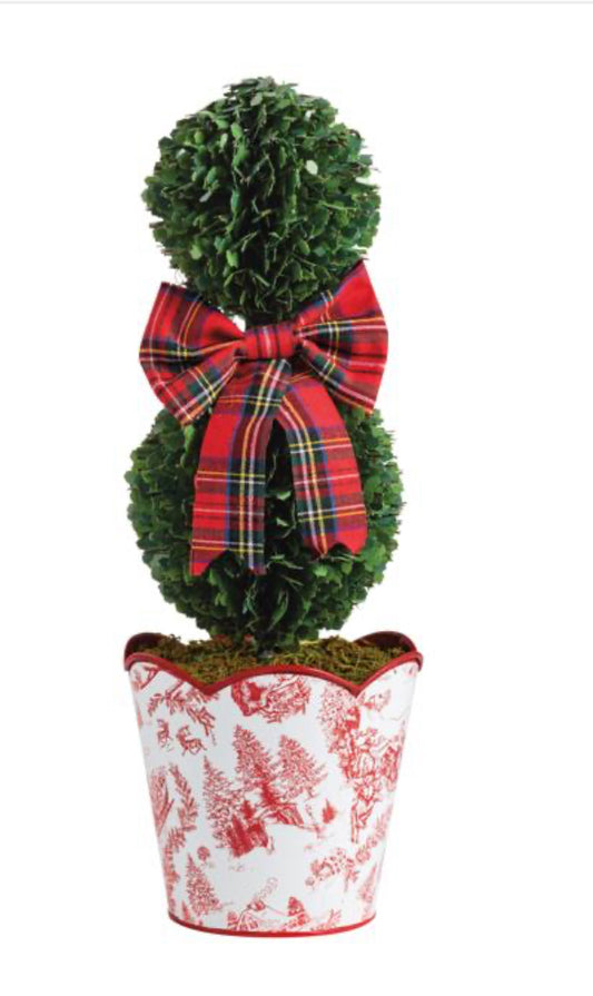 Toile Boxwood Topiary
