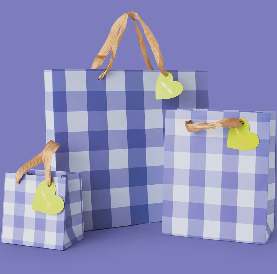 Blue Gingham Gift Bag