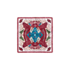Arkansas Razorbacks Pocket Scarf