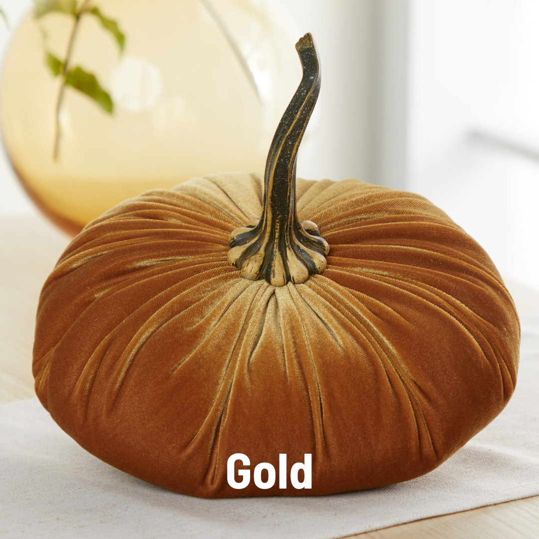 Pumpkin Extra Large Velvet, Fall Accent, Thoughtful Gift: Bronze