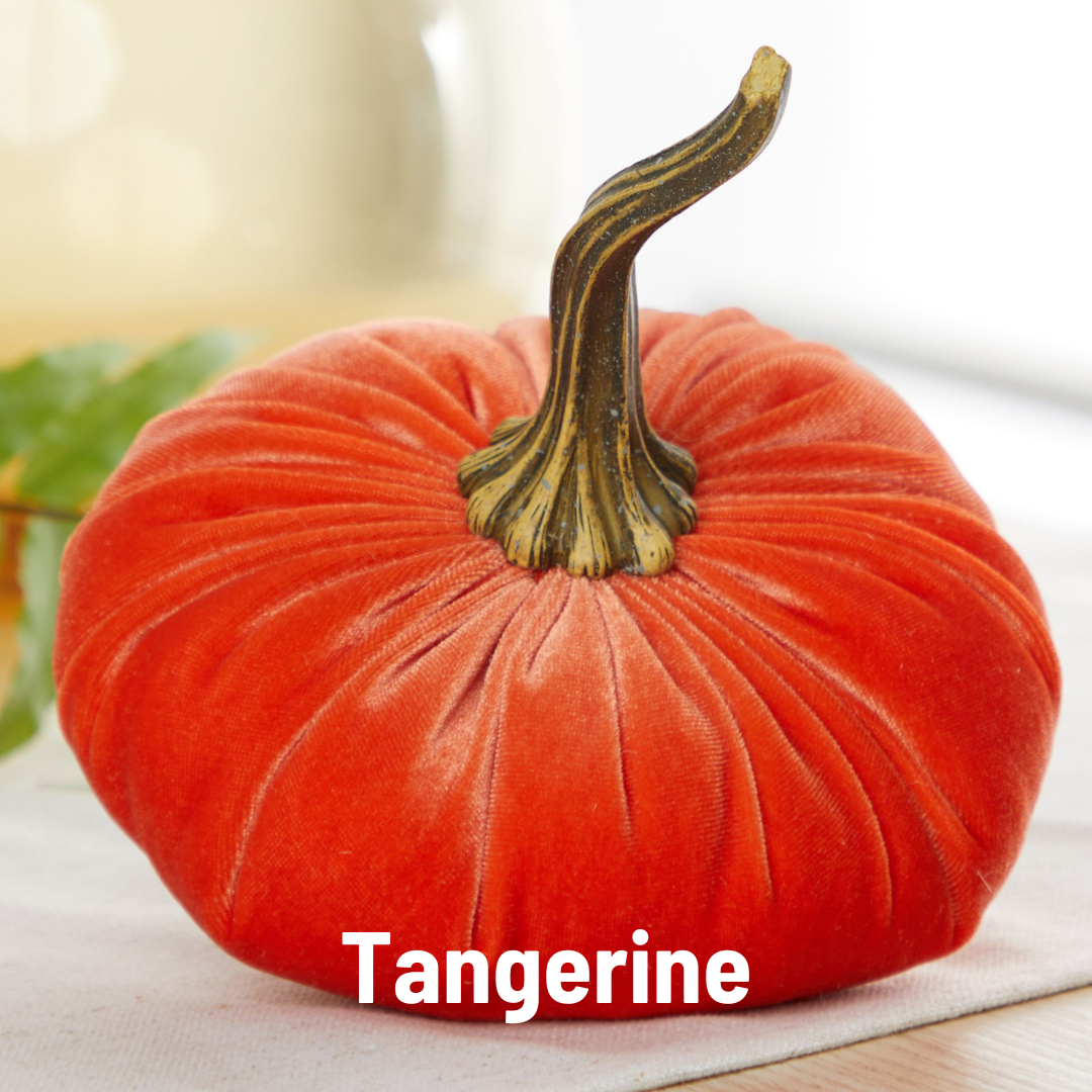 Pumpkin Large Velvet- Avocado