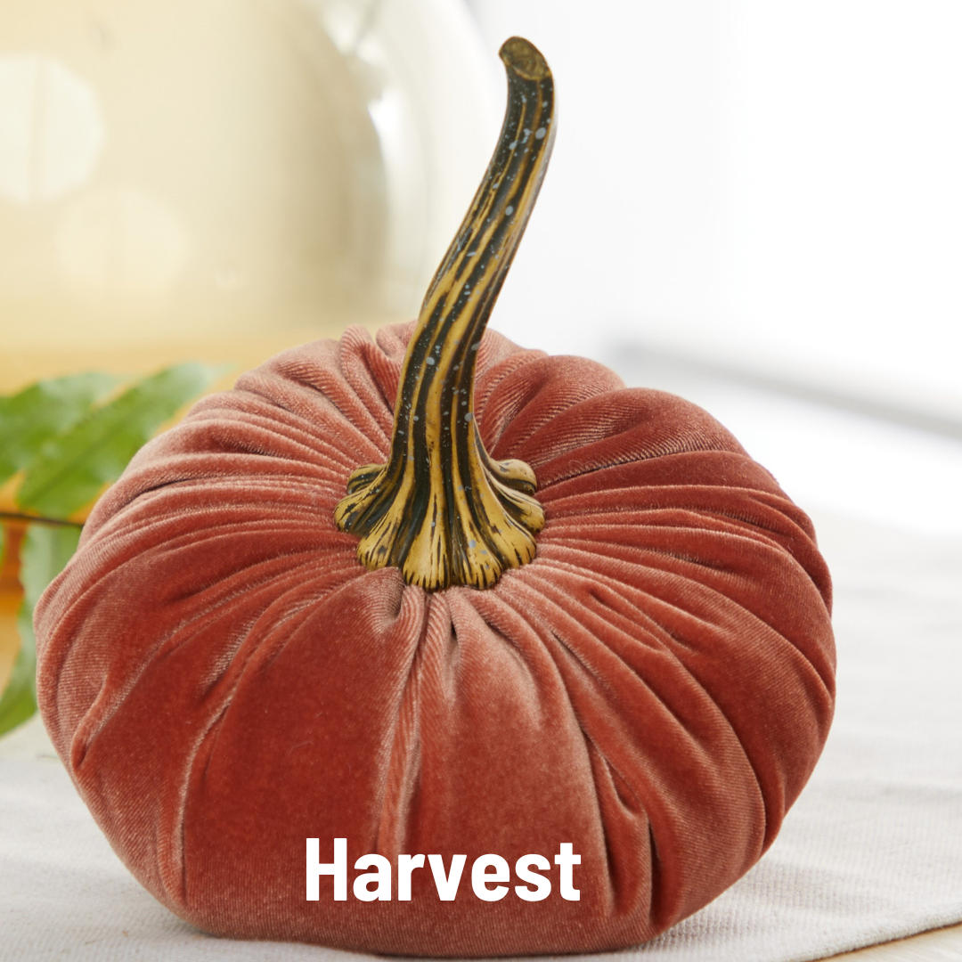 Pumpkin Large Velvet, Fall Mantel Decor, Halloween Table: Olive
