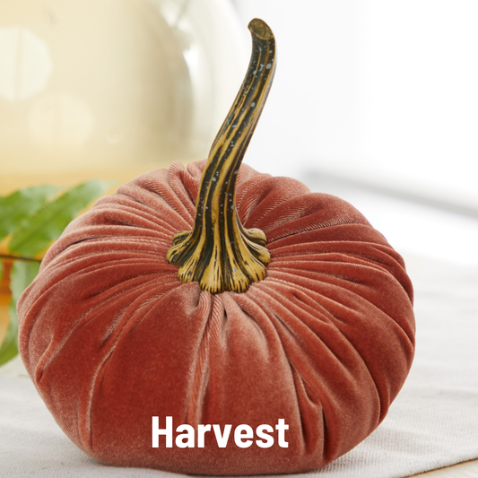 Pumpkin Large Velvet, Fall Mantel Decor, Halloween Table: Harvest