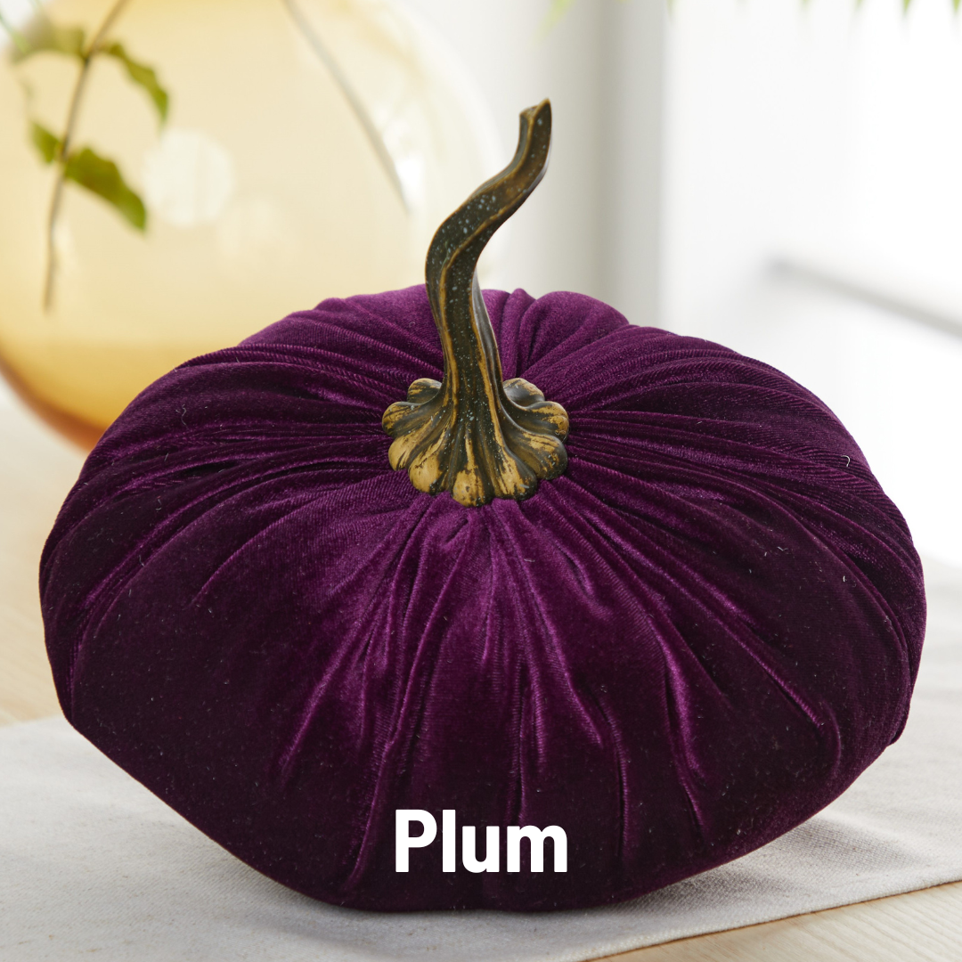 Pumpkin Extra Large Velvet, Fall Accent, Thoughtful Gift: Olive