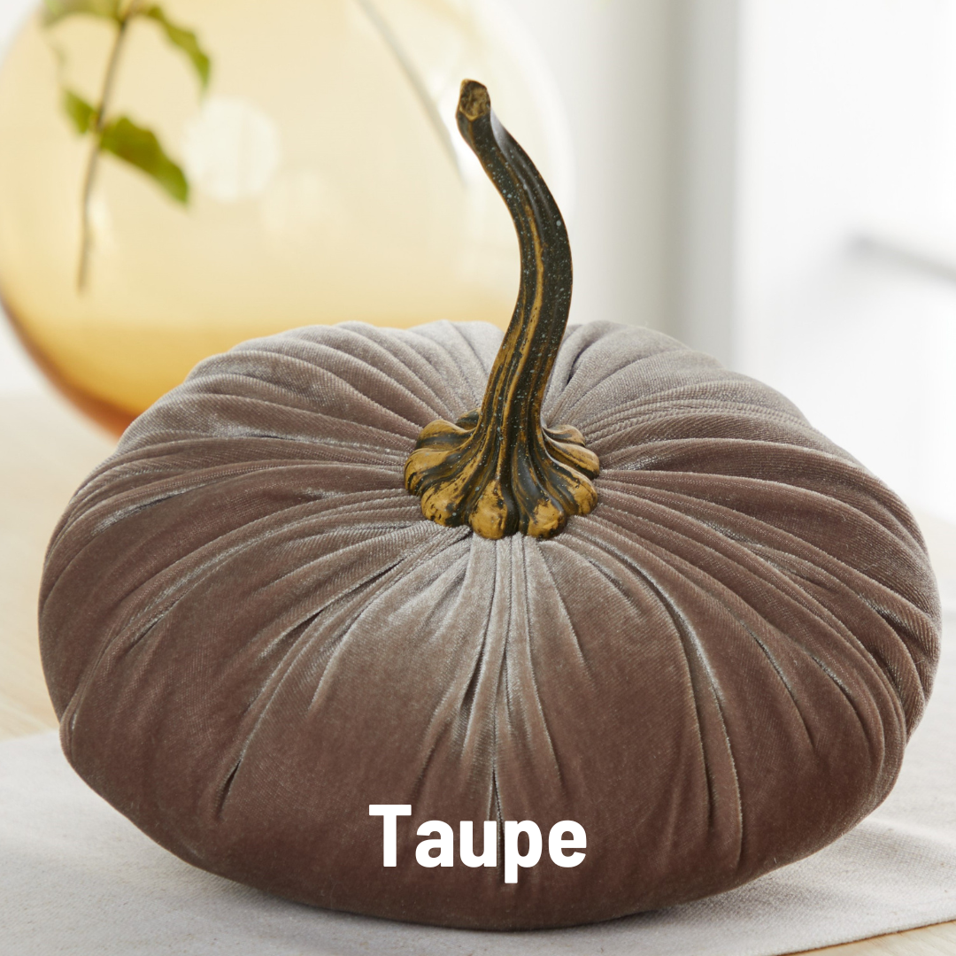 Pumpkin Extra Large Velvet, Fall Accent, Thoughtful Gift: Gold