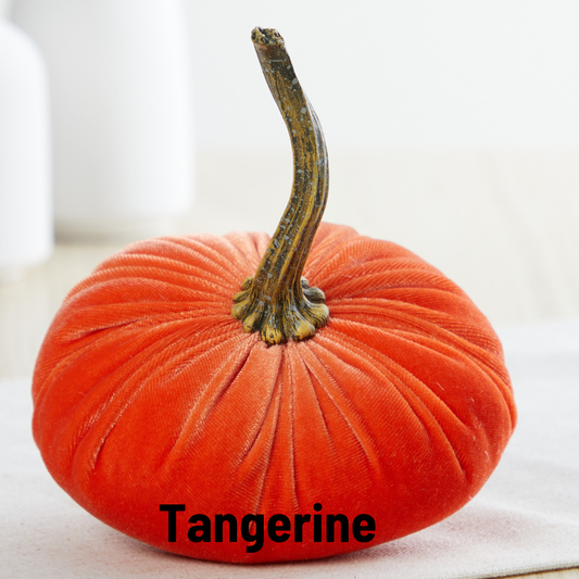 Pumpkin Small Velvet: Tangerine