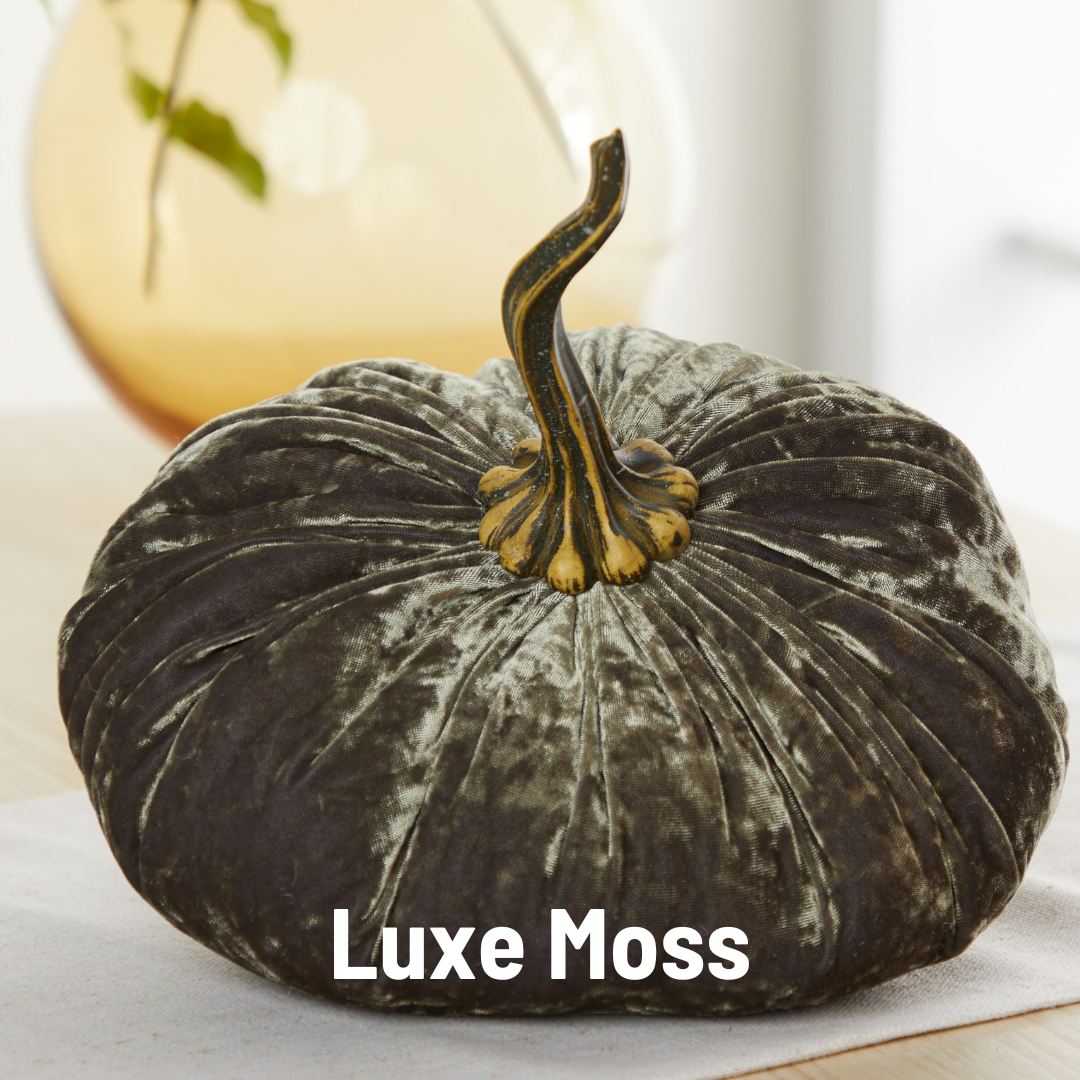 Pumpkin Extra Large Velvet, Fall Accent, Thoughtful Gift: Olive