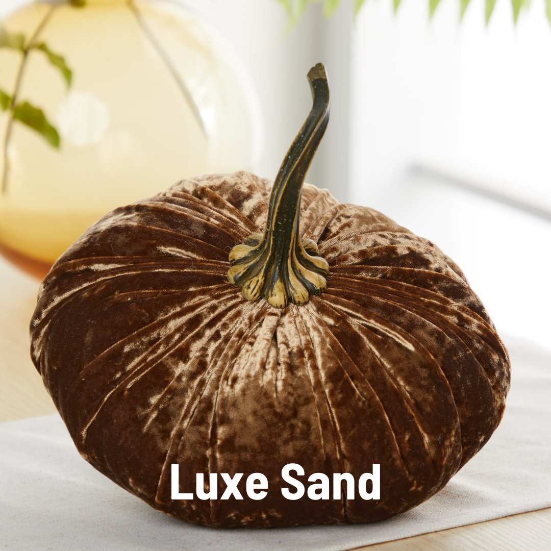 Pumpkin Extra Large Velvet, Fall Accent, Thoughtful Gift: Gold