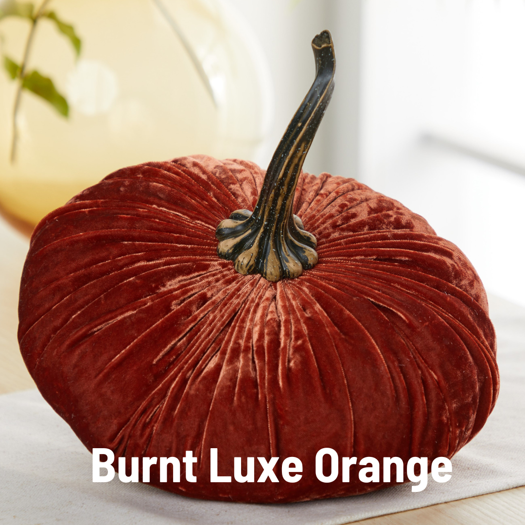 Pumpkin Extra Large Velvet, Fall Accent, Thoughtful Gift: Gold