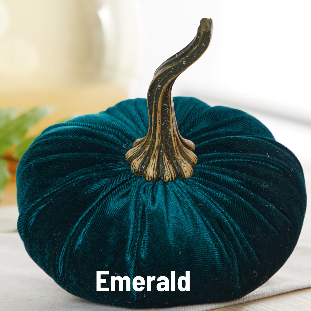 Pumpkin Large Velvet- Avocado