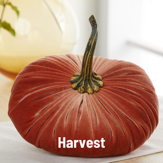 Pumpkin Extra Large Velvet: Harvest