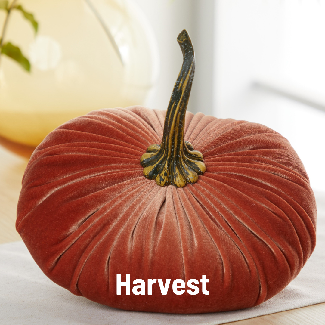 Pumpkin Extra Large Velvet, Fall Accent, Thoughtful Gift: Gold