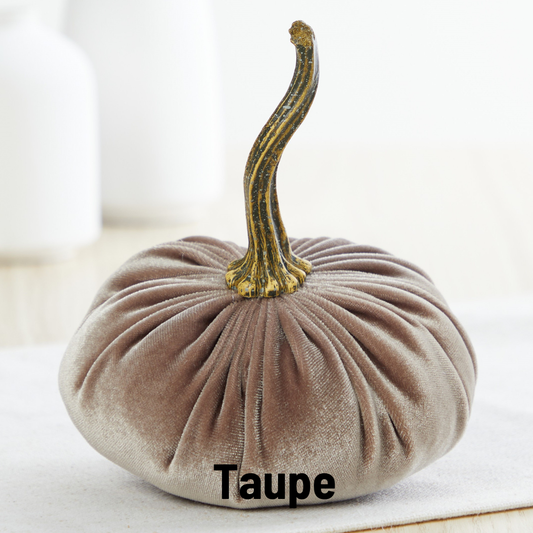 Pumpkin Small Velvet Fall: Taupe