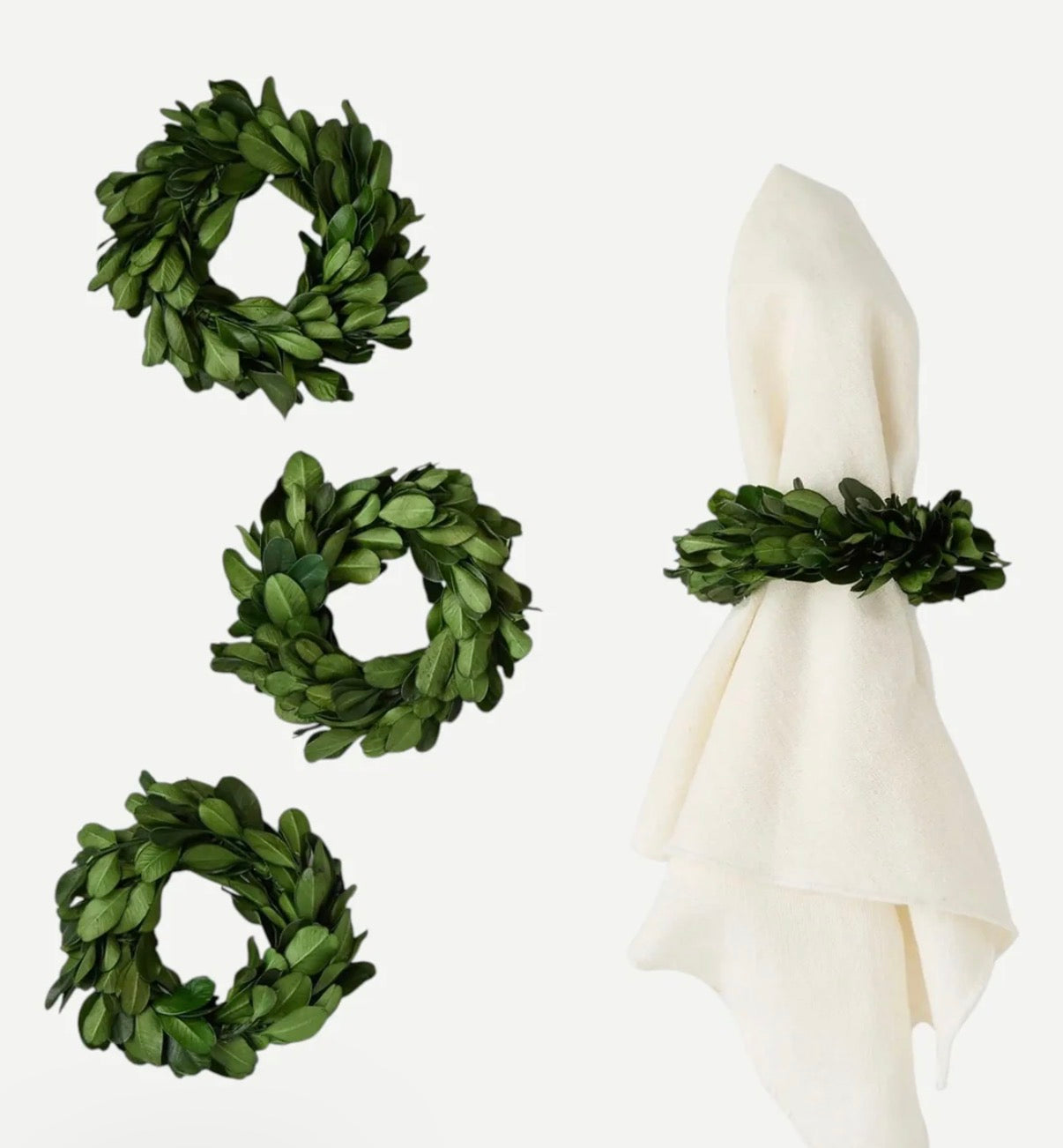 PRESERVED BOXWOOD NAPKIN RINGS - SET OF 4
