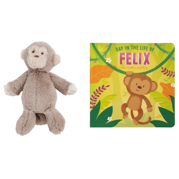 Monkey Book with Plush