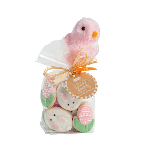 Easter Gourmet Cookies with Toy