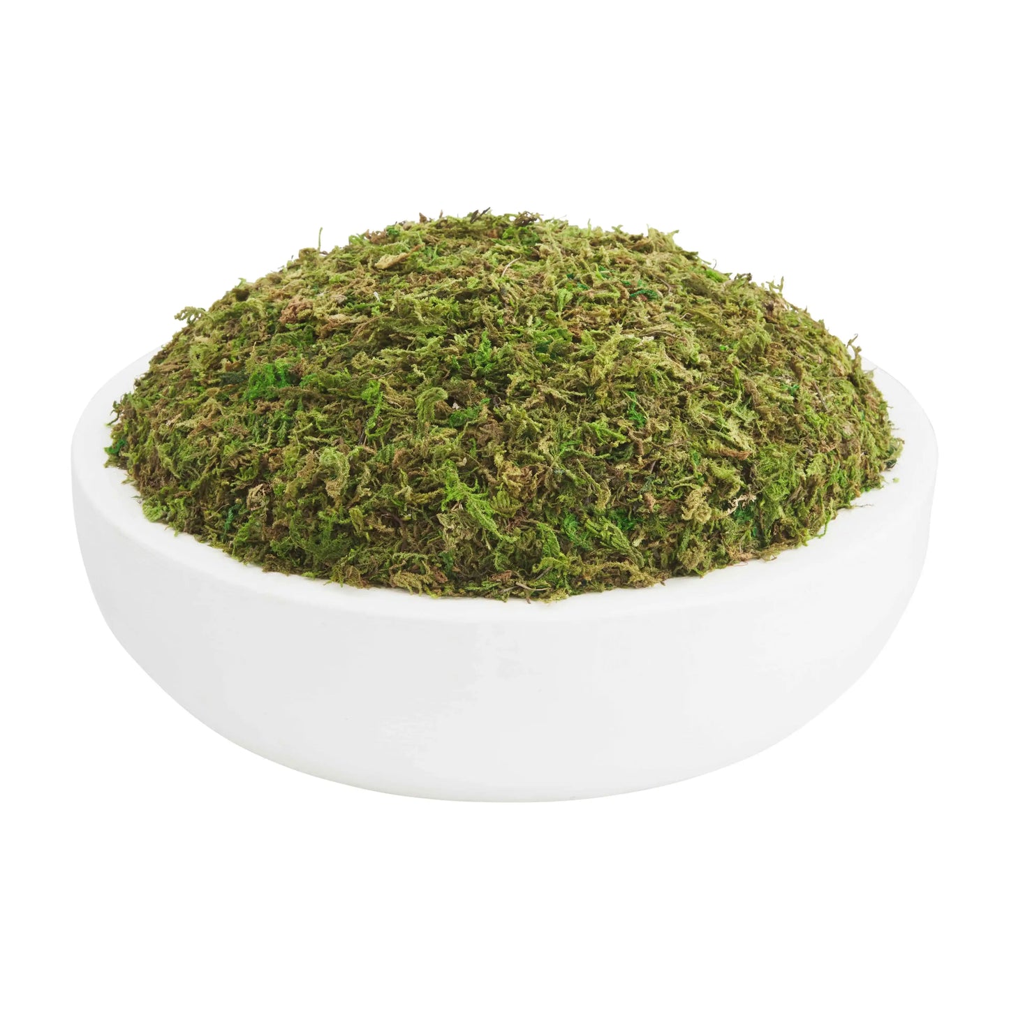 Moss Bowl