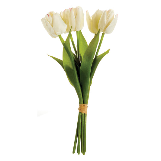 Dutch Tulip -15" Set of 6