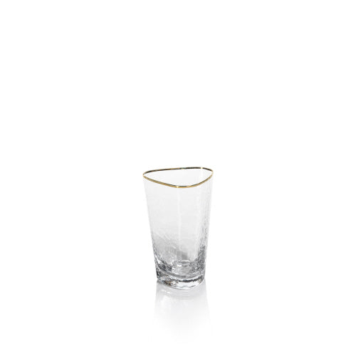 Aperitivo Triangular High Ball Glass with Gold Rim